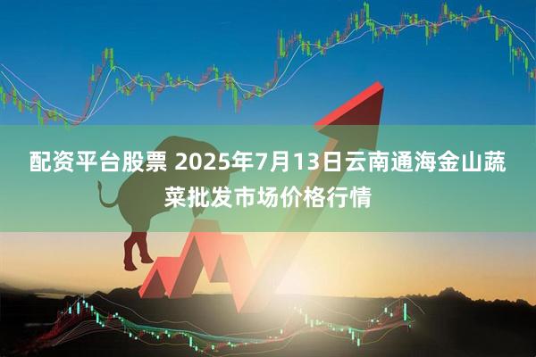 配资平台股票 2025年7月13日云南通海金山蔬菜批发市场价格行情